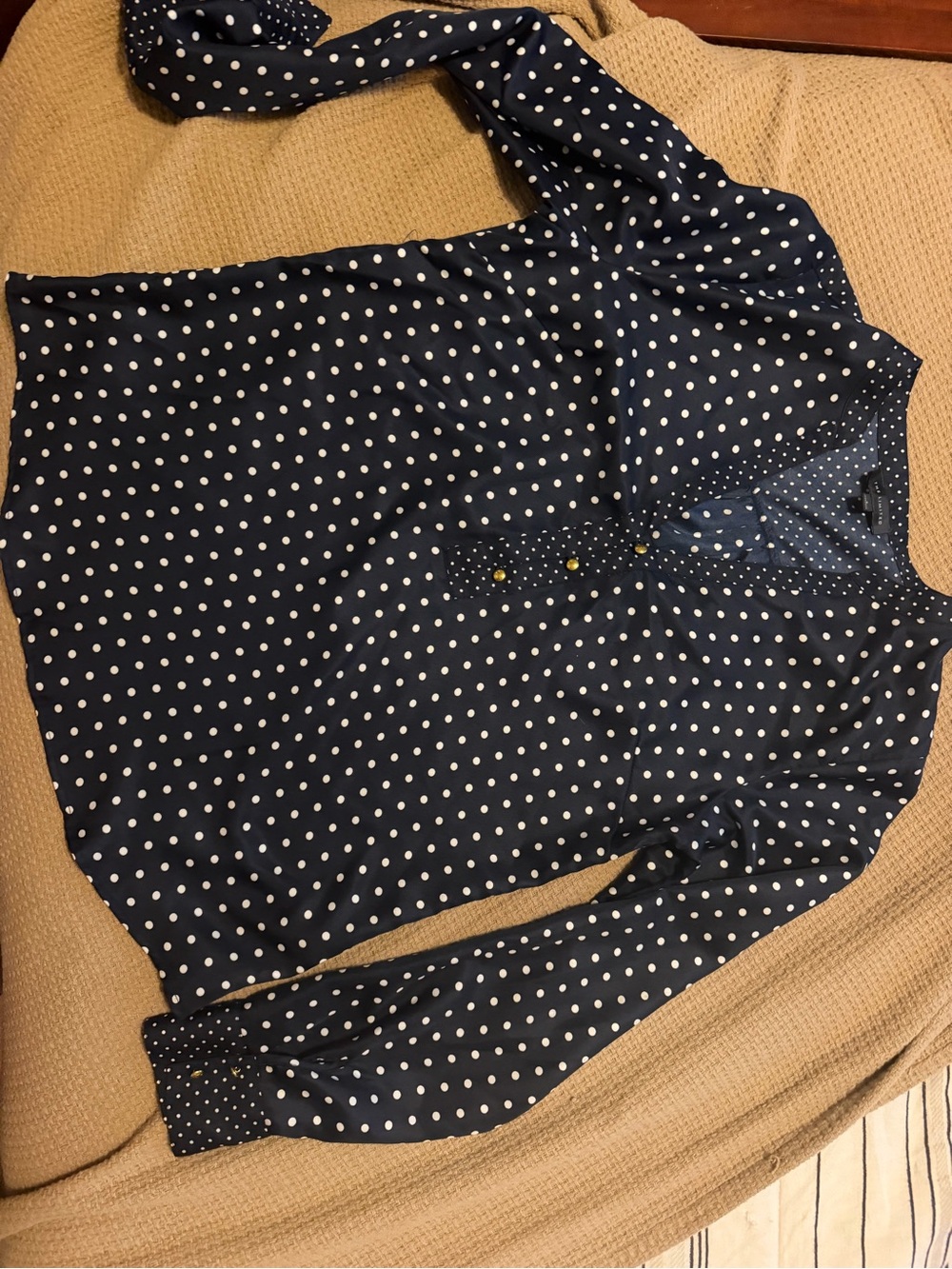 The Limited Navy Polka Dot V-Neck Blouse